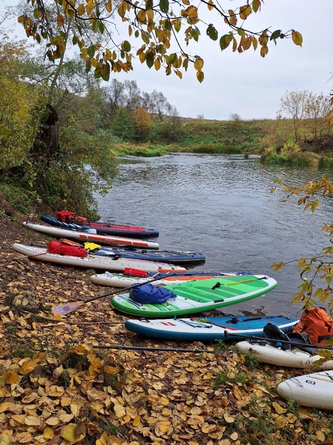 Paddleboards beside an autumn river
